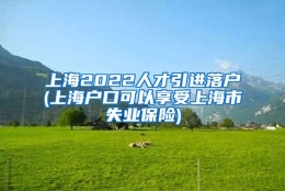 上海2022人才引进落户(上海户口可以享受上海市失业保险)