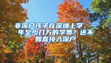 非深户孩子在深圳上学，一年至少几万的学费？还不如直接入深户