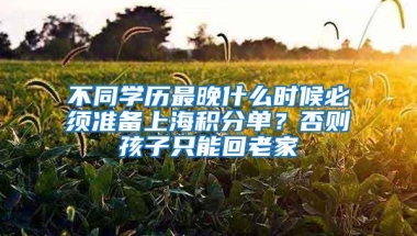 不同学历最晚什么时候必须准备上海积分单？否则孩子只能回老家