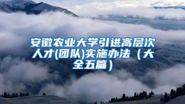 安徽农业大学引进高层次人才(团队)实施办法（大全五篇）