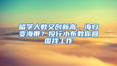 留学人数又创新高、海归变海带？投行小布教你回国找工作