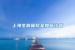 上海生育保险金如何计算