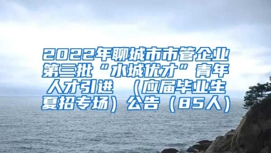 2022年聊城市市管企业第三批“水城优才”青年人才引进 （应届毕业生夏招专场）公告（85人）