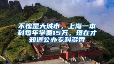 不愧是大城市，上海一本科每年学费15万，现在才知道公办专科多香