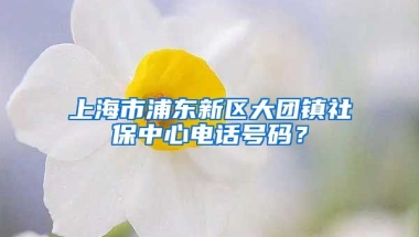 上海市浦东新区大团镇社保中心电话号码？