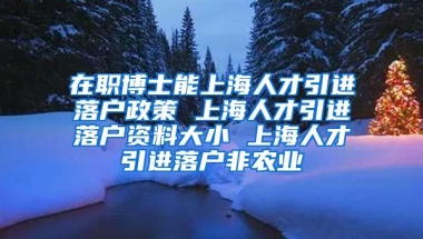 在职博士能上海人才引进落户政策 上海人才引进落户资料大小 上海人才引进落户非农业