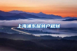 上海浦东居转户规划