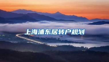 上海浦东居转户规划