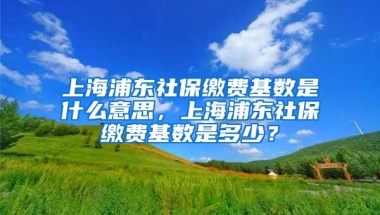 上海浦东社保缴费基数是什么意思，上海浦东社保缴费基数是多少？