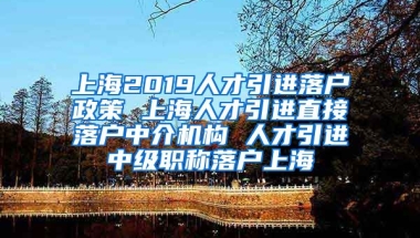 上海2019人才引进落户政策 上海人才引进直接落户中介机构 人才引进中级职称落户上海