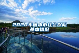 2020年度本市社会保险基本情况