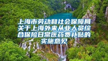 上海市劳动和社会保障局关于上海外来从业人员综合保险日常医药费补贴的实施意见