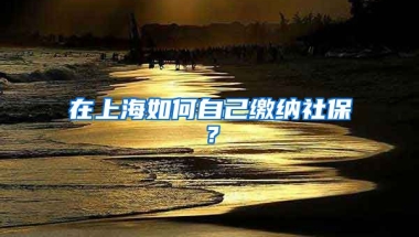 在上海如何自己缴纳社保？