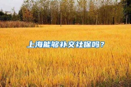 上海能够补交社保吗？