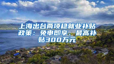 上海出台两项稳就业补贴政策：免申即享、最高补贴300万元