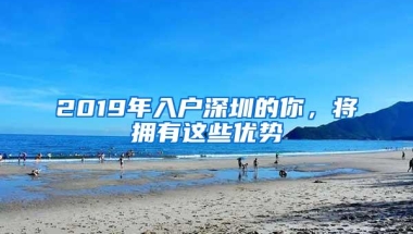 2019年入户深圳的你，将拥有这些优势