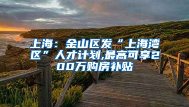 上海：金山区发“上海湾区”人才计划,最高可享200万购房补贴