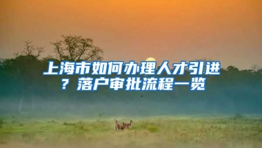 上海市如何办理人才引进？落户审批流程一览