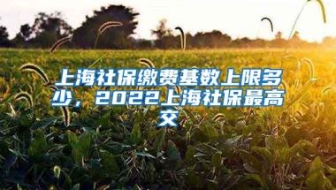 上海社保缴费基数上限多少，2022上海社保最高交