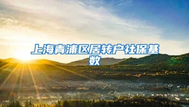 上海青浦区居转户社保基数