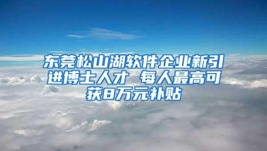 东莞松山湖软件企业新引进博士人才 每人最高可获8万元补贴