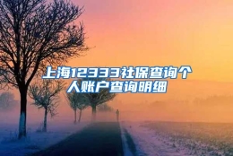 上海12333社保查询个人账户查询明细