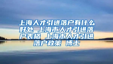 上海人才引进落户有什么好处 上海市人才引进落户表格 上海市人才引进落户政策 博士