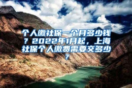 个人缴社保一个月多少钱？2022年1月起，上海社保个人缴费需要交多少？