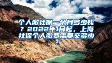 个人缴社保一个月多少钱？2022年1月起，上海社保个人缴费需要交多少？