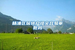 杨浦区居转户提交容易审批吗