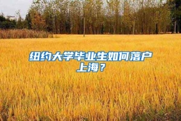 纽约大学毕业生如何落户上海？