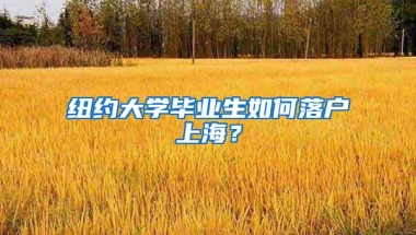 纽约大学毕业生如何落户上海？