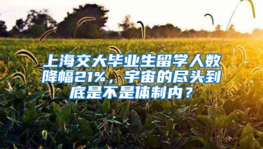 上海交大毕业生留学人数降幅21%，宇宙的尽头到底是不是体制内？