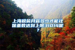 上海税前月薪多少才能社保基数达到上限31014呢？